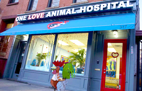 One Love Animal Hospital Boerum Hill Location