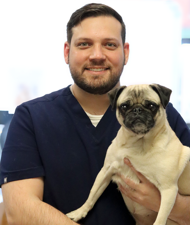 Dr. Brian Pavel